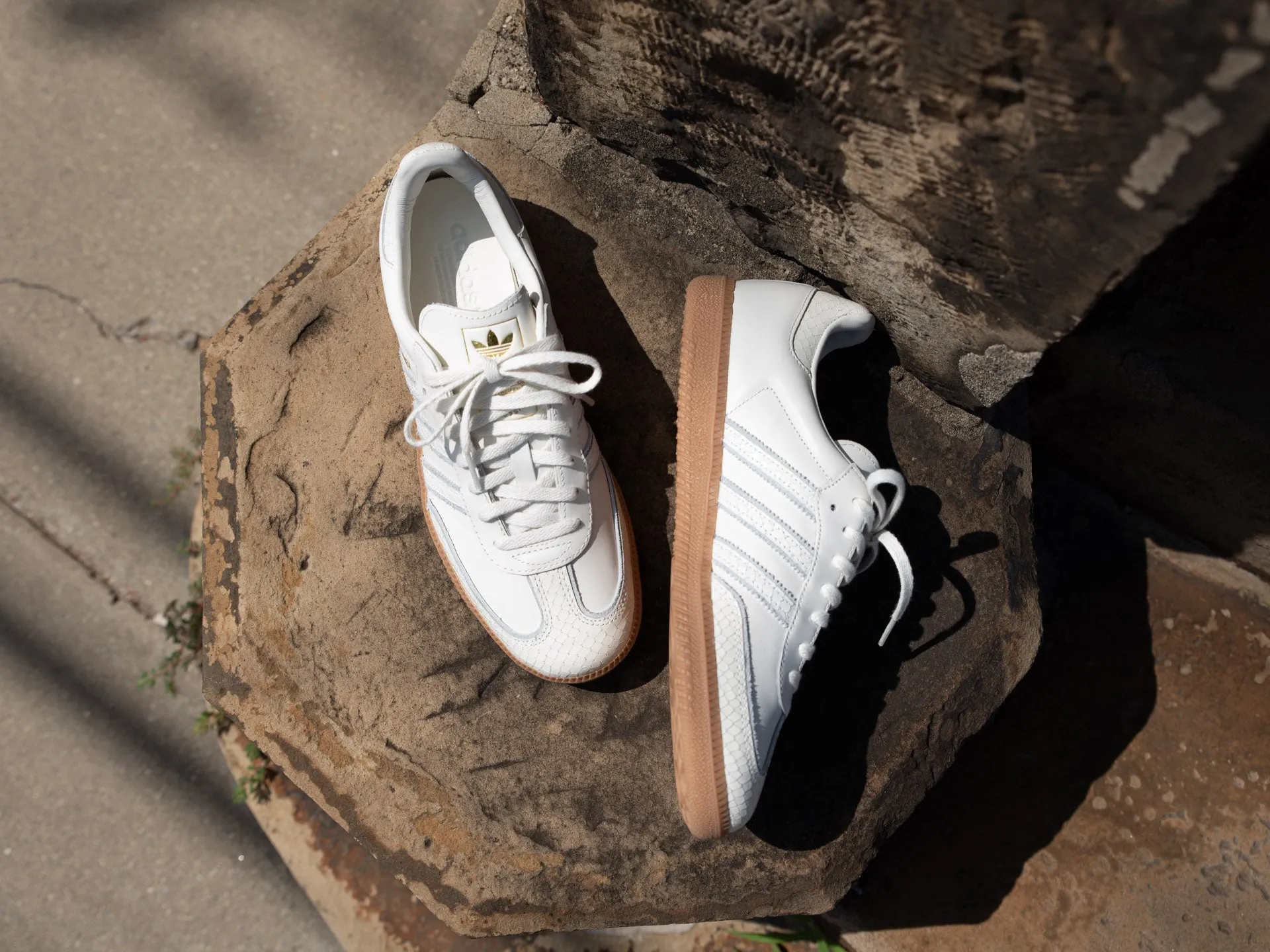 Adidas Samba OG 'Snakeskin'