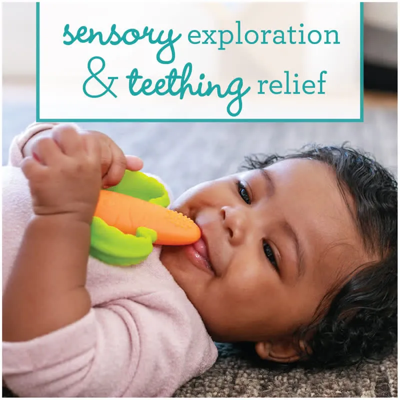 Baby Silicone Carrot Teether