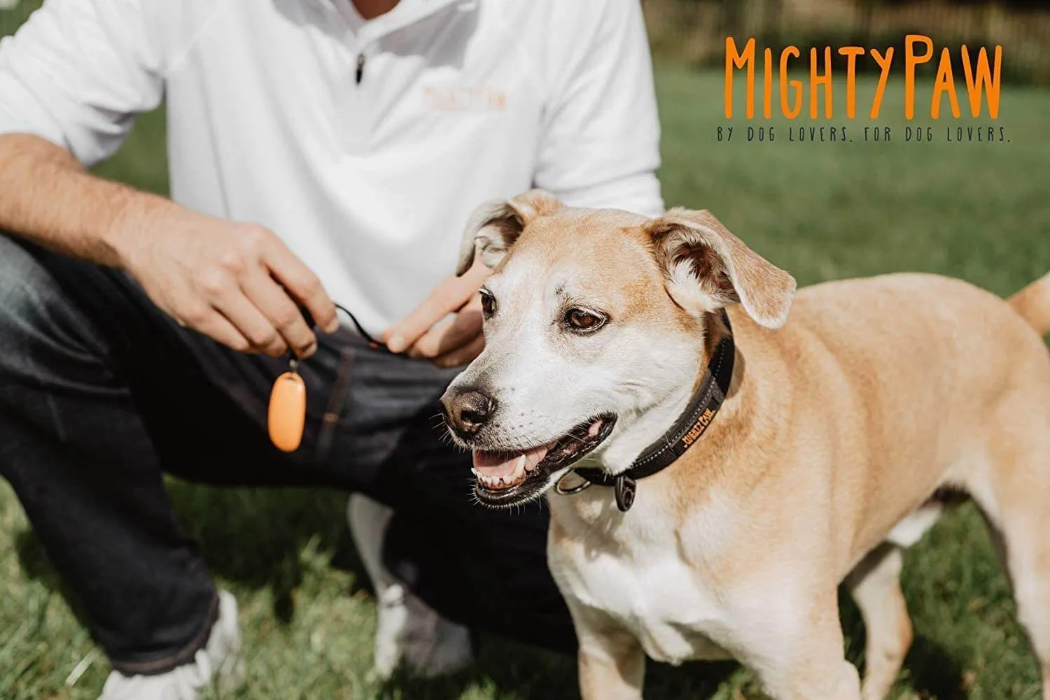 Compact Dog Training Clicker with Ergonomic Design & Training Guide