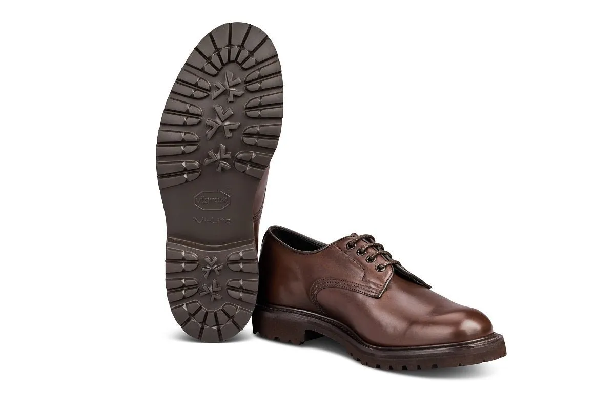 Daniel Tramping Shoe - Lightweight - Olivvia Classic Espresso Burnished
