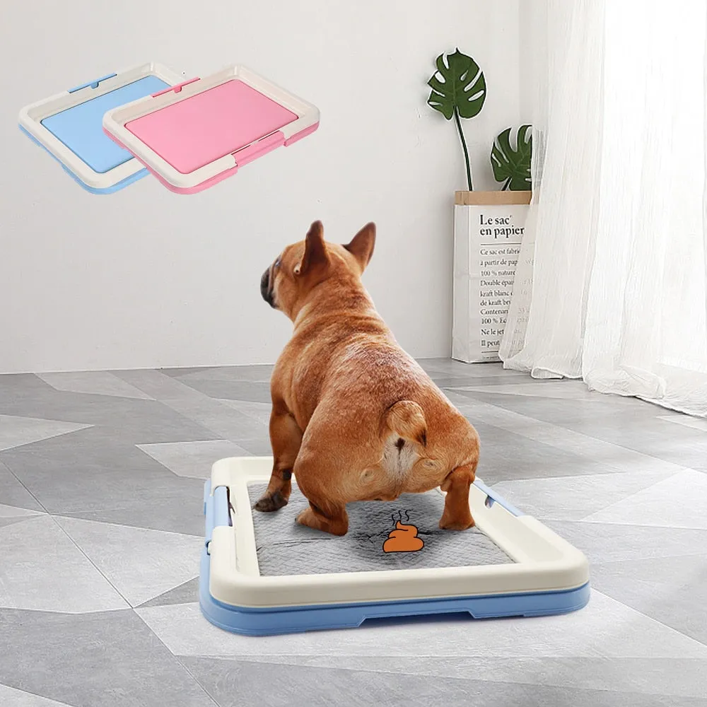 Portable Potty Training Toilet